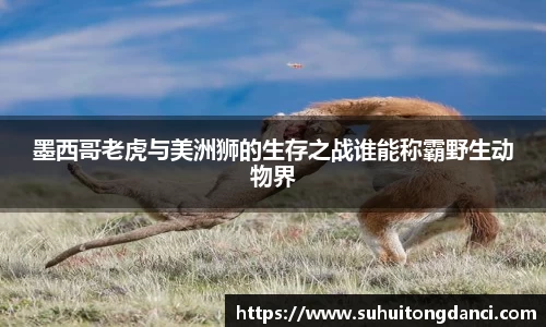 墨西哥老虎与美洲狮的生存之战谁能称霸野生动物界