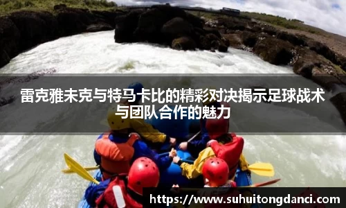 雷克雅未克与特马卡比的精彩对决揭示足球战术与团队合作的魅力