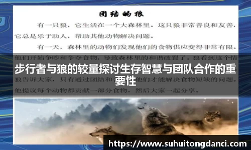 步行者与狼的较量探讨生存智慧与团队合作的重要性