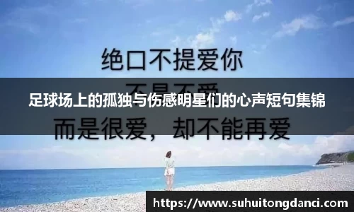 足球场上的孤独与伤感明星们的心声短句集锦